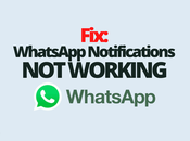 Fix: WhatsApp Notifications Working