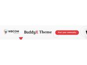 Create Social Network Website With WordPress BuddyX Theme?
