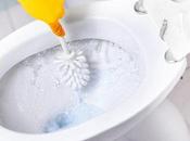 Tips Perfect Toilet Brush Hygiene