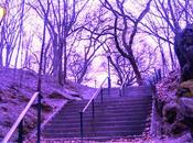 Central Park Make-Over