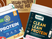 Found Best Carb Keto-Friendly Plant-Based Protein Powders Your Diet