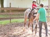 Images from Froehlich’s Outfitter Guide Horse Rides Cannelton, Indiana