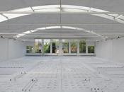 Paper Arts Installation