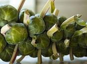 Besh’s Brussel Sprouts