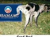 Deer Repeatedly Destroys Obama Yard Sign