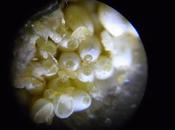 Getting Closer Nature