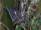 Over Traps Destroyed Stolen Gloucestershire