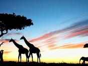 FlightNetwork Travel Stories