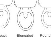 Things Need Know About Your Toilet