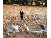 Public Gardens Modena Giardini Estense