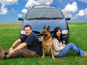 Planning Take Trip with Your Dear Pet, Th...