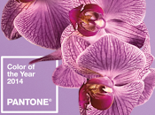 Color Year 2014 Radiant Orchid