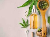 Oil: Everything Need Know