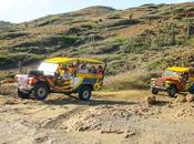 Best Aruba Jeep Tours 2023 (w/Prices)