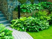 Importance Landscaping