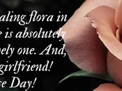 Rose Quotes, Wishes Messages