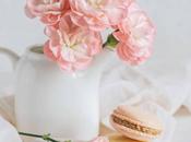 Nobody Walk Shoes Have