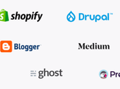 Limitations WordPress Website Design