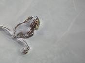 Frog Went A-Courting