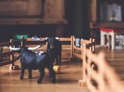 Boost Your Child’s Imagination