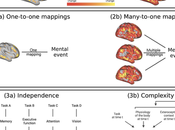 Fundamentally Rethinking What Mind Brain Works.