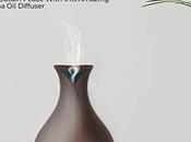 Benefits Using Electric Aroma Diffuser Your Home