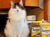 SAVE $8.60 TEMPTATIONS Classic Crunchy Soft Treats