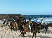 Best Horseback Riding Tours Aruba