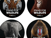FREEBIE: Free Stand Wildlife Stickers (US)
