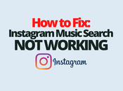 Instagram Music Search Working