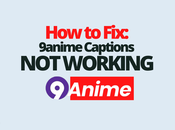 9anime Captions Working