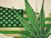 Marijuana Legalization Guide!