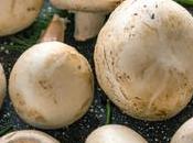Discover Amazing Ways Mushrooms Your Cooking