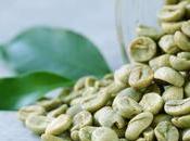Ultra Green Coffee Enjoy Your with Herbs