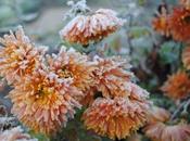 Tips Enjoy Your Garden Space Even When It’s Cold