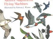 BIRDS: NATURE'S MAGNIFICENT FLYING MACHINES: Twenty Years Print Still Flying