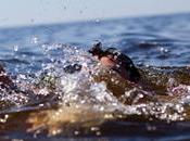 Body Found, Three Missing Ellawela Falls