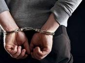 Palai Crime OIC, Among Four Arrested with Cannabis Haul