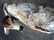 Thing Beauty நின்னயே என்று