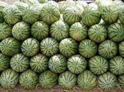 Keep Cool Midsummer Night's Dream