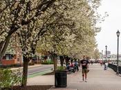 Blossoms