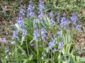 Perfect Shot--Missed