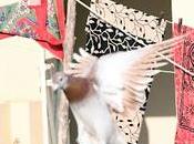 Foci What Multi-tasking