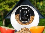 SAVE Smart Bird Feeder with Camera