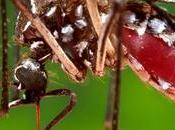 Special Dengue Control Programme After Rise Cases