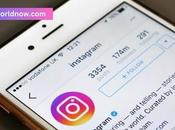 Gramhir Best Instagram Viewer Without Account
