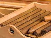 Store Your Cigar Cutter Keep Shape