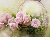 𝕄𝕠𝕥𝕙𝕖𝕣'𝕤 𝔾𝕚𝕗𝕥𝕤 𝕌𝕟𝕕𝕖𝕣 $𝟚𝟝.𝟘𝟘!