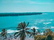 Which Beach Best Goa?