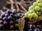 Grapes Weight Loss